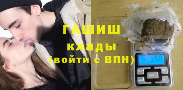 альфа пвп Гусев