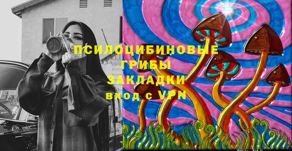 альфа пвп Гусев